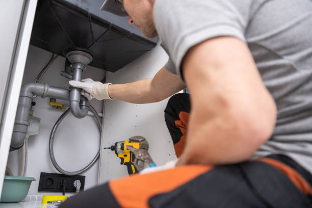 Best Local Plumber Services  in Wrightwood, CA